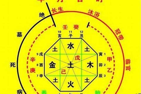 喜神 木|八字喜用神是木：补运、注意事项、生活建议